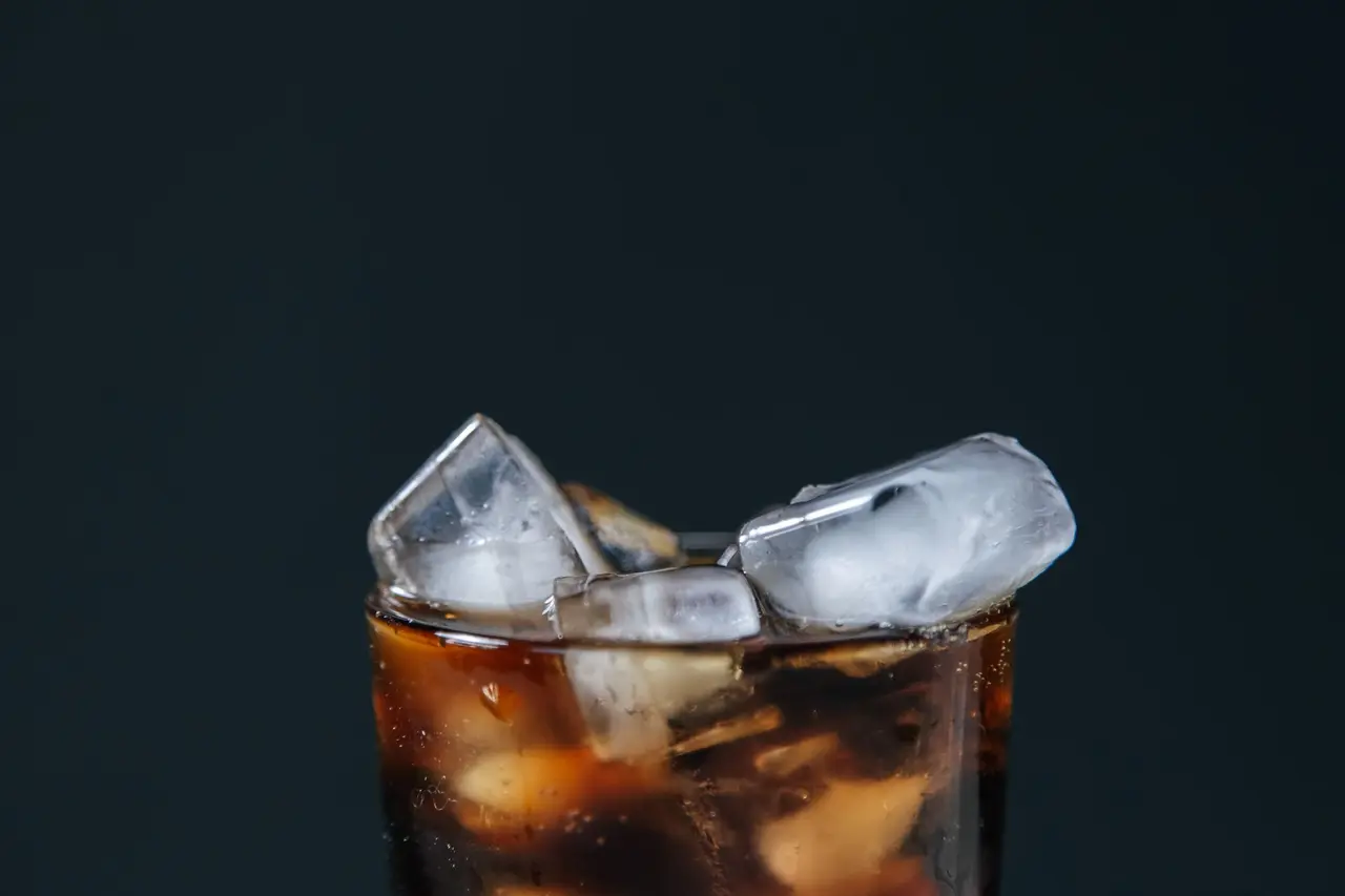 Ice Maker Jammed With Ice in Idaho